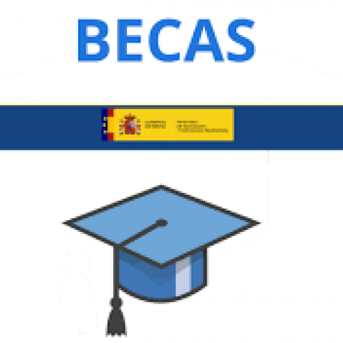 Ayudas de transporte escolar y becas