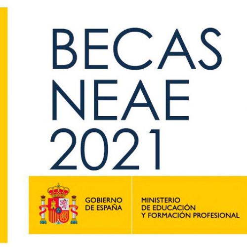 Becas NEAE