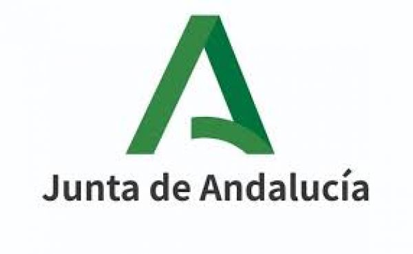Información relativa al Plan de Apertura