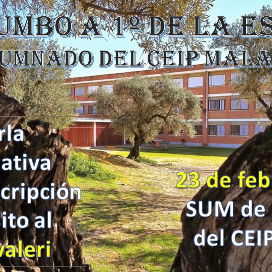 Reunión informativa y de tránsito IES Cavaleri