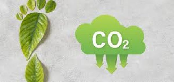 Impulsamos un futuro más sostenible