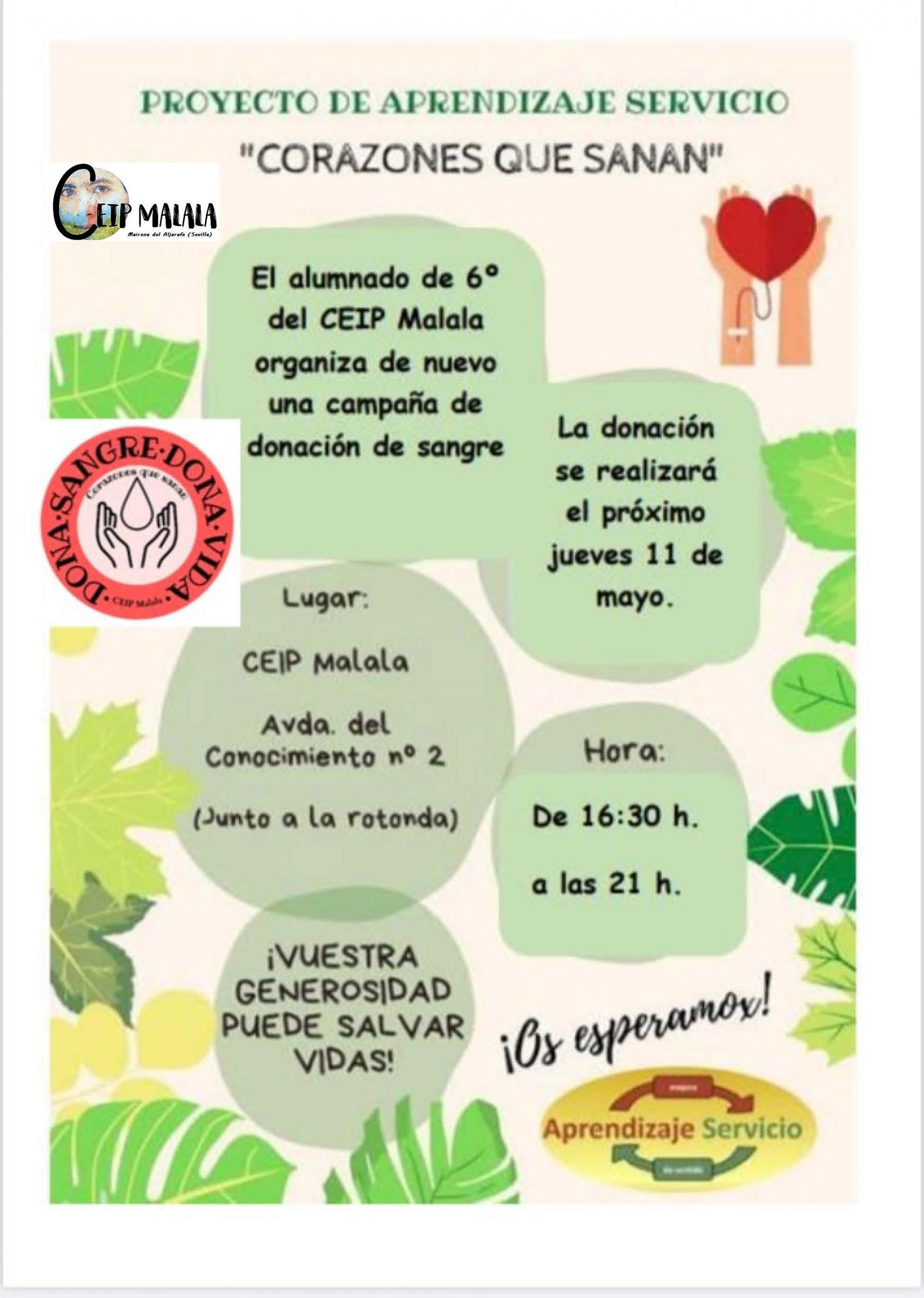 Donación de Sangre en el CEIP Malala