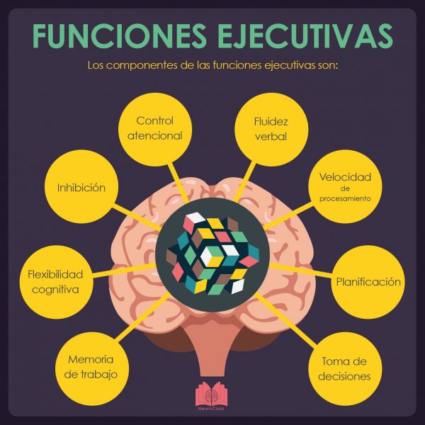 WEB ORIENTADOR@S – AL – PT