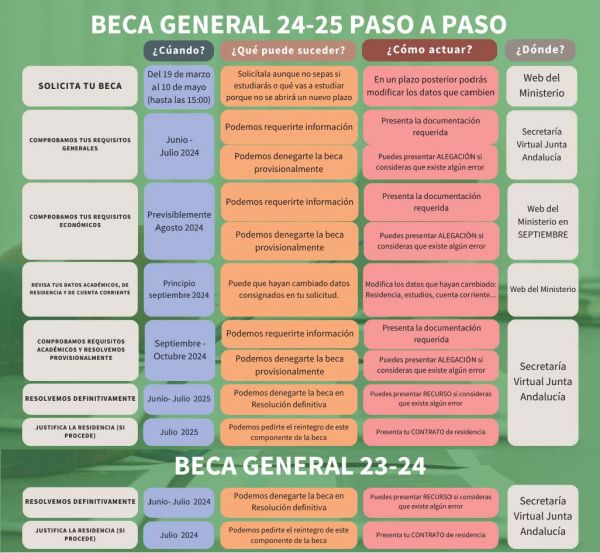 Ayudas alumnado NEAE curso 24-25
