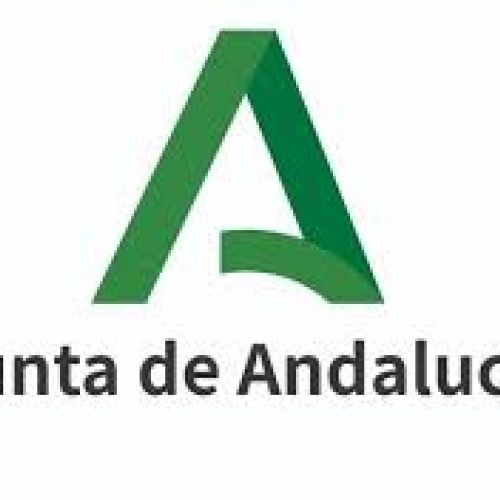 Información relativa al Plan de Apertura