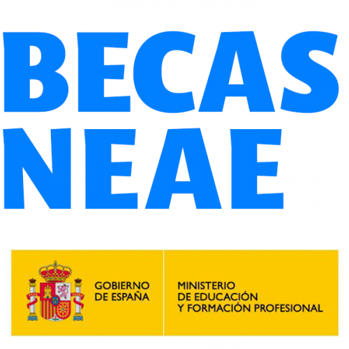 Inicio del periodo para solicitar las BECAS NEAE